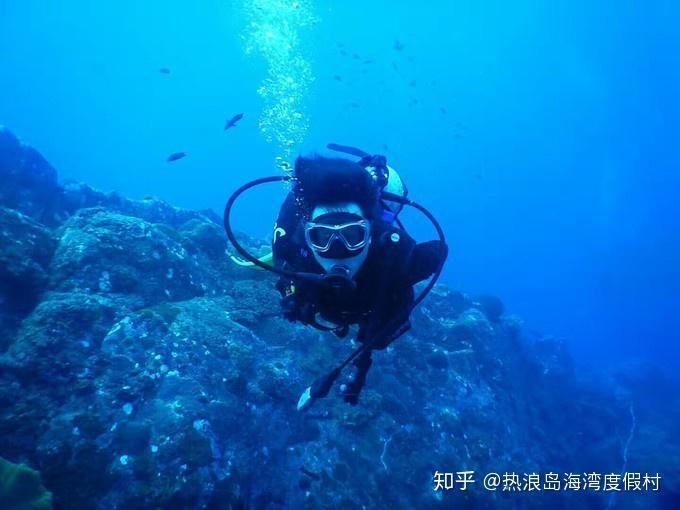 幻境森林大逃生