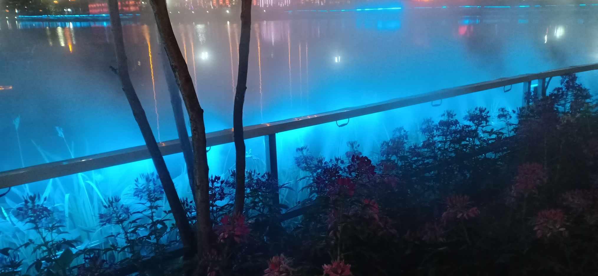 顶级寿司店